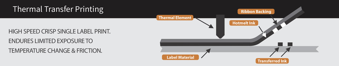 Polyester & Vinyl MetalImage Polyesterandpaper V1 - Polyester & Vinyl