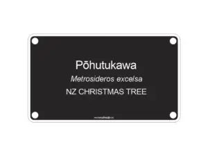 200 X 100mm Illustrated, Our Text