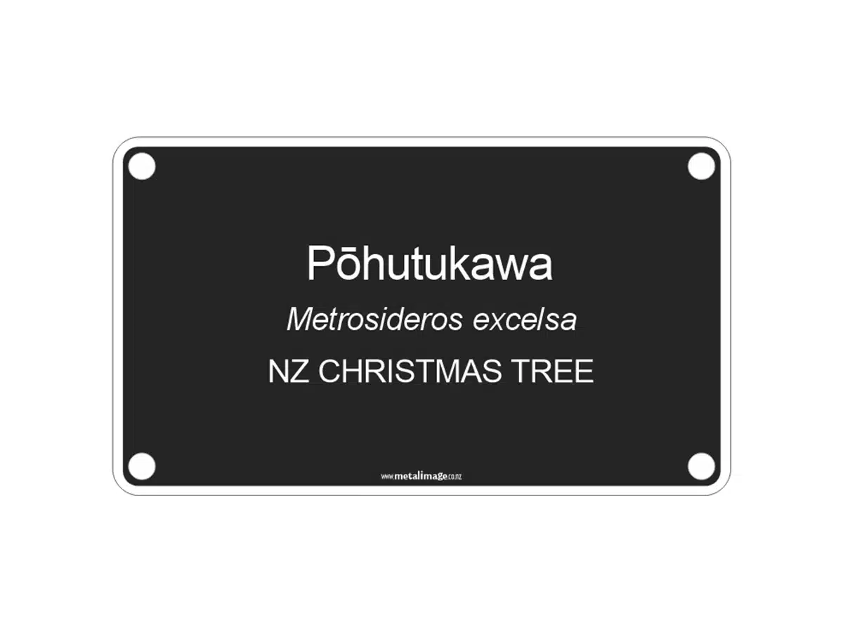 SKU 1001 200 X 100mm Illustrated, Our Text