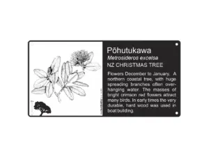 200 X 100mm Illustrated, Our Text - 4107 200 X 100mm Illustrated, Our Text - 4107