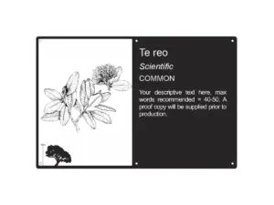 300 X 200mm Illustrated, Your Supplied Text 5101 300 X 200mm Illustrated, Your Supplied Text 5101