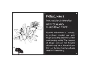 300 X 200mm Illustrated, Our Text 5105 300 X 200mm Illustrated, Our Text 5105